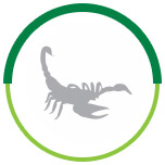 Controle de Escorpião - Astral Saúde Ambiental - RJ Oeste