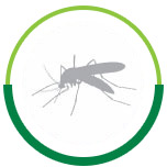 Controle de Mosquitos - Astral Saúde Ambiental - RJ Oeste