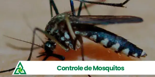 Controle de Mosquitos - Astral RJ Oeste